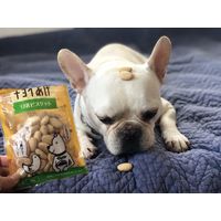 チョイあげ 豆乳ビスケット 40g 10袋 国産 わんわん ドッグフード おやつ