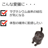 JPスタイル 和の究み キャットフード セレクトヘルスケア 下部尿路ガード 低マグネシウム 国産 1.4kg（200g×7袋）1袋 ペットライン