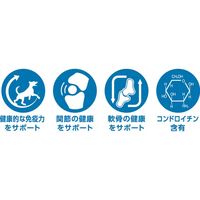 ニュートリショントリーツ 関節＆骨 30個 ドッグフード おやつ デンタルケア