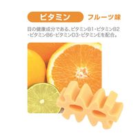 犬の歯磨きガム ヘルススリーフェアリー ビタミン フルーツ味 デンタルケア 口臭 60g フォーキャンス