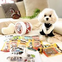 チョイあげ ビーフジャーキー 60g 5袋 国産 わんわん ドッグフード おやつ