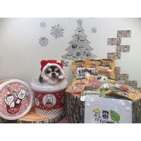 チョイあげ S・S・S・C サクサクささみチーズ入 10g 5袋 国産 わんわん ドッグフード おやつ