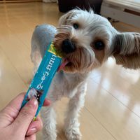 （バラエティパック）いなば ちゅーる 犬 とりささみバラエティ 国産（14g×40本）1袋 ちゅ～る ドッグフード 犬 ウェット おやつ