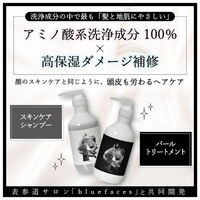 アミノマスター プロフェッショナル シャンプー 500ml デザインボトル ときわ商会