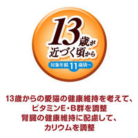 銀のスプーン 三ツ星グルメ フレーク 13歳から まぐろ入りかつお 35g 16袋 キャットフード ウェット パウチ