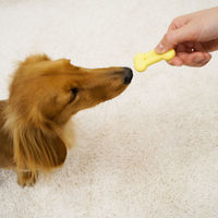 ドギーマン ドッグフード 低脂肪ワンワンビスケット Big さつまいも＆野菜入 450g 2袋