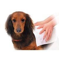 つややかシルクプロテイン ボディタオル 中型・大型犬用 ハウスダスト 花粉ケア 国産 15枚入 3袋