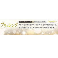 ブラッシングトリートメント リフレッシュサボン 国産 200ml 2個 ライオンペット