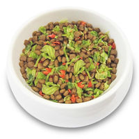 野菜ミックス キャベツとにんじん お徳用 300g 犬用 1袋 フジサワ