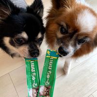 いなば ちゅーる 犬 とりささみ ビーフ入り  総合栄養食 国産（14g×4本）20袋 ちゅ～る ドッグフード 犬用 ウェット おやつ