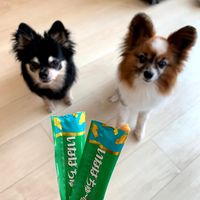 いなば ちゅーる 犬 とりささみ 総合栄養食 国産（14g×4本）6袋 ちゅ～る ドッグフード 犬用 ウェット おやつ