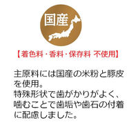 JPスタイル 和の究み 歯みがきガム ミニ 無添加 国産 200g ドッグフード おやつ デンタルケア