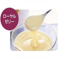 クイック＆リッチ トリートメントインシャンプータオル 愛猫用 20枚入 3個　ライオンペット