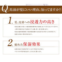 ツヤツヤ馬油 コンディショナー ポンプ 700ml 国産馬油使用 ティ・エス・プランニング