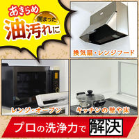 茂木和哉 油汚れ用洗剤 なまはげ 320ml 1個 きれい研究所