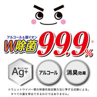 激落ちくん 流せる 除菌 99.9% トイレクリーナー 掃除 1パック（24枚×4個入） レック (S00285)