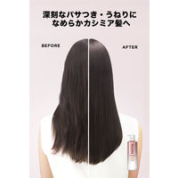 【アウトレット】パンテーンミラクルズ クリスタルスムース ノンシリコンシャンプー ポンプ 500ml 1個 P＆G