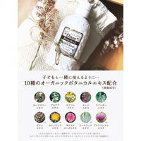 ダイアンボタニカル ボディソープ ディープモイスト詰め替え 400ml 2個 ストーリア