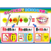 デンタルプロ FRESH フロスピック 100P 4973227417356 1個