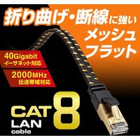 サンワサプライ カテゴリ8メッシュフラットLANケーブル KB-T8MEFL-01BK 1個