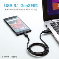 サンワサプライ USB3.1 Gen2 Type C-Aケーブル(ブラック・0.5m) KU31-CA05 1本