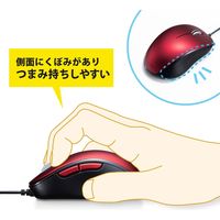 有線マウス　静音　5ボタン　中型サイズ　ブルーLED　MA-BL191R　サンワサプライ　1個（直送品）