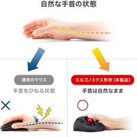 サンワサプライ Bluetoothエルゴトラックボール(チルトホイール・マルチペアリング) MA-BTTB179BK 1個（直送品）