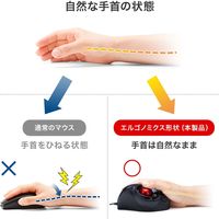 サンワサプライ 有線エルゴトラックボール MA-TB177BK 1個