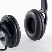 サンワサプライ イヤースポンジ(2個セット) MM-HSPA12 1個