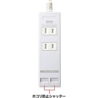 延長コード 電源タップ 3m 2P（ピン） 2個口 シャッター ライトグレー TAP-B110USH-3W サンワサプライ 1本