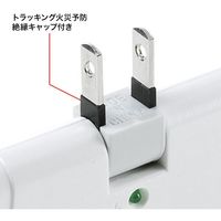 延長コード 電源タップ 2P（ピン） 3個口 雷ガード ホワイト TAP-SP223 サンワサプライ 1個