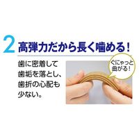 ペットキッス 食後の歯みがきガム プレミアム 中型犬用 5本入 ドッグフード おやつ デンタルケア