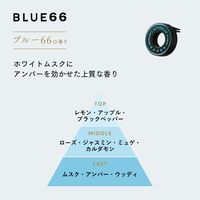 ランドリン 車用フレグランス ブルー66の香り 1個