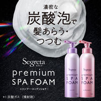 Segreta（セグレタ） プレミアムスパフォーム コンディショナー付け替え 150g 4個 花王
