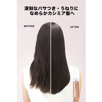 パンテーン ミラクルズ リッチモイスチャー トリートメント 詰め替え 特大サイズ 880g 2個 P＆G