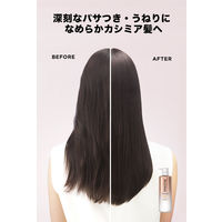 パンテーン ミラクルズ リッチモイスチャー シャンプー 詰め替え 特大サイズ 880ml 2個 P＆G
