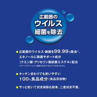 ウイルス細菌除去スプレー 400mL 1個 対物除菌剤 サラヤ
