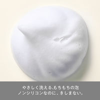 ヘアレシピ 和の実 つるん シャンプー ボトル 350g ノンシリコン P&G