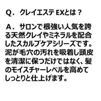 モルトベーネ クレイエステシャンプーEX 詰め替え 500ml クレイ シャンプー ビューティーエクスペリエンス