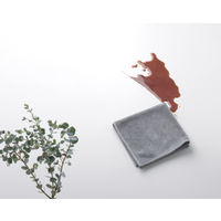 掃除の達人 汚れからめ取りクロス 水垢 手垢 油汚れ マイクロファイバー 蛇口 雑巾 1個（2枚入） マーナ