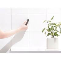 掃除の達人 すみずみ消しゴム 水垢 水アカ 黒ズミ サビ そうじ 1個 マーナ