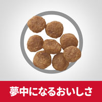 【アウトレット】サイエンスダイエット アダルト 成犬用 ラム＆ライス 小型犬 3kg 2袋 日本ヒルズ ドッグフード ドライ