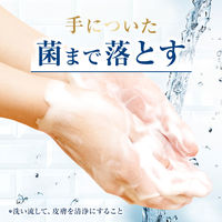 ダヴ（Dove） 泡ハンドウォッシュ ピーチ＆リリー 詰め替え 430ml 1セット（2個） ユニリーバ