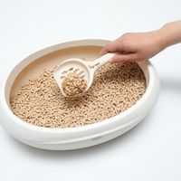 ネオ砂 ヒノキ 流せる 6L 8袋 コーチョー