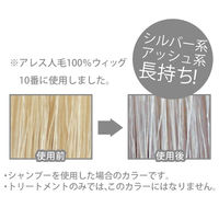 アレスカラー シルバーシャンプー 200ml シルシャン カラーケア アレスプランニング