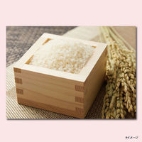 クリア(CLEAR) ナチュラルグロス スカルプコンディショナー ポンプ 370g