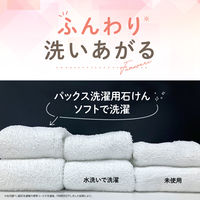 詰替用パックス　洗濯用石けんソフト　1L　1個　太陽油脂　無添加　無香料　天然由来100%　洗濯洗剤