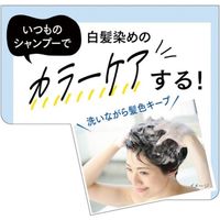 サロンドプロカラーシャンプー ナチュラルブラウン 250mL ダリヤ