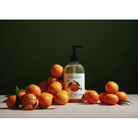 ナチュラルフルーツ＆Vウォッシュ マンダリンオレンジの香り 500ml コアラエコ