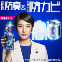 レノア本格消臭 デオドランドビーズ スポーツ クールリフレッシュ 詰め替え 430ml 1セット（2個入） 抗菌 P&G